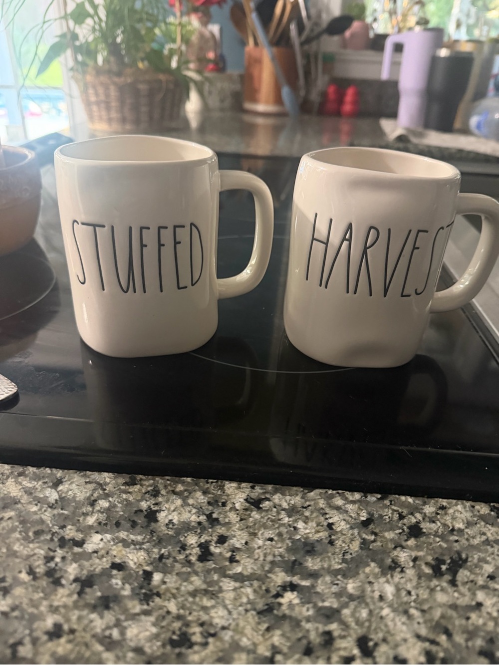 Set of 2 Rae Dunn coffee mugs, stuffed /harvest